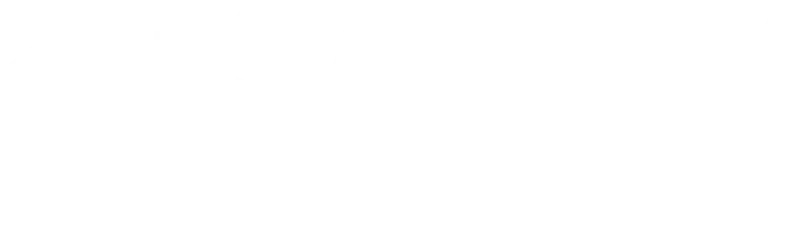 Safety Institute